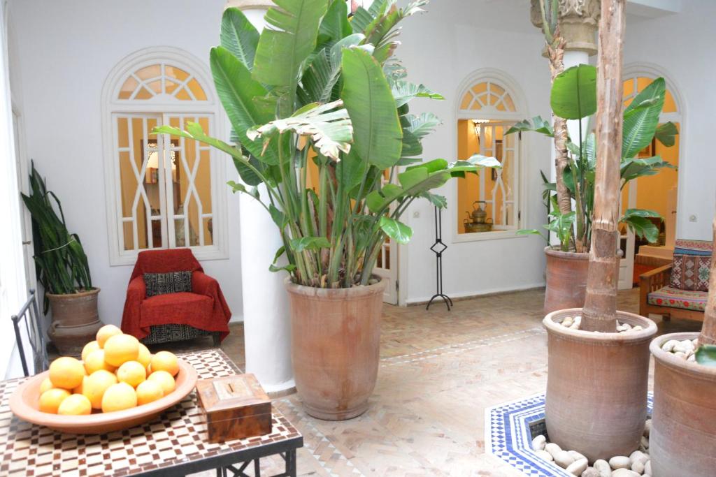 Dar Loulema riad Marrakech Tensift Haouz Essaouira