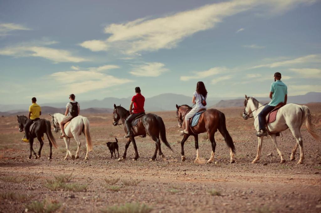 Ecolodge lile de Ouarzazate riad Region non trouvee Ouarzazate 15