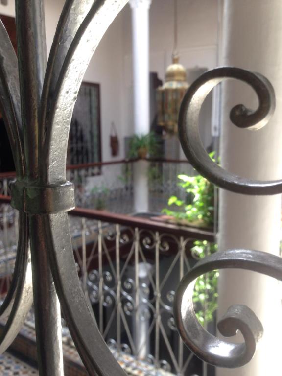 Hotel Riad Dalia Tetouan riad Tanger Tetouan Tetouan 11