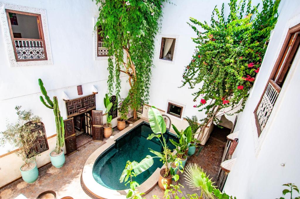 Hotel Spa Riad Dar El Aila riad Marrakech Tensift Haouz Marrakech