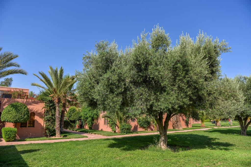 Maison Ayda riad Marrakech Tensift Haouz Marrakech 16