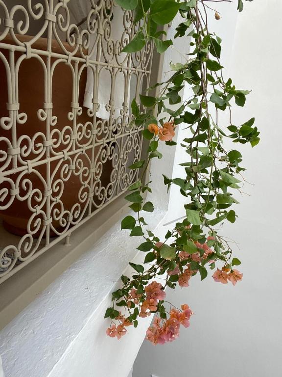 Private house Riad Arlette exclusive riad Marrakech Tensift Haouz Marrakech 8