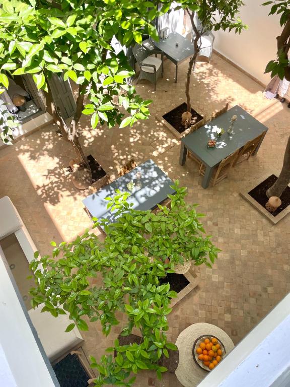 RIAD MAGIE Boutique Hotel riad Marrakech Tensift Haouz Marrakech 15