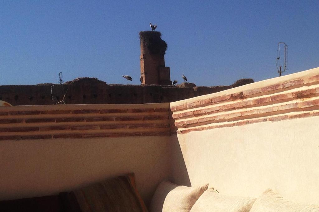 RIAD OF THE STORKS Exclusive use for up to 17 persons riad Marrakech Tensift Haouz Marrakech 4