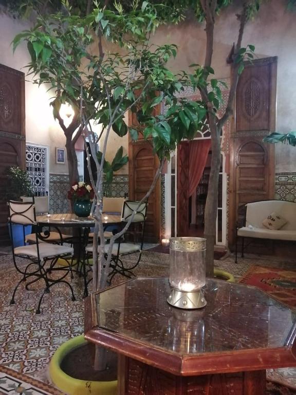 RIAD Redous riad Marrakech Tensift Haouz Marrakech 19