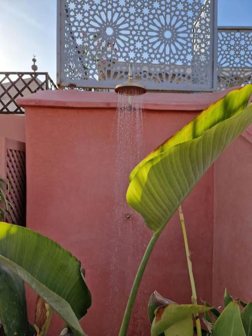 RIAD SAMAH riad Marrakech Tensift Haouz Marrakech 10