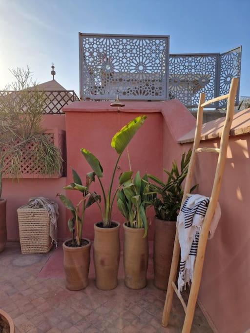 RIAD SAMAH riad Marrakech Tensift Haouz Marrakech 11