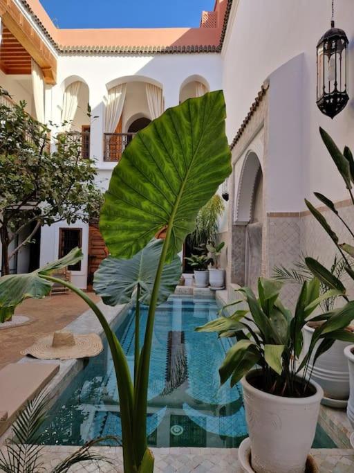 RIAD SAMAH riad Marrakech Tensift Haouz Marrakech 15