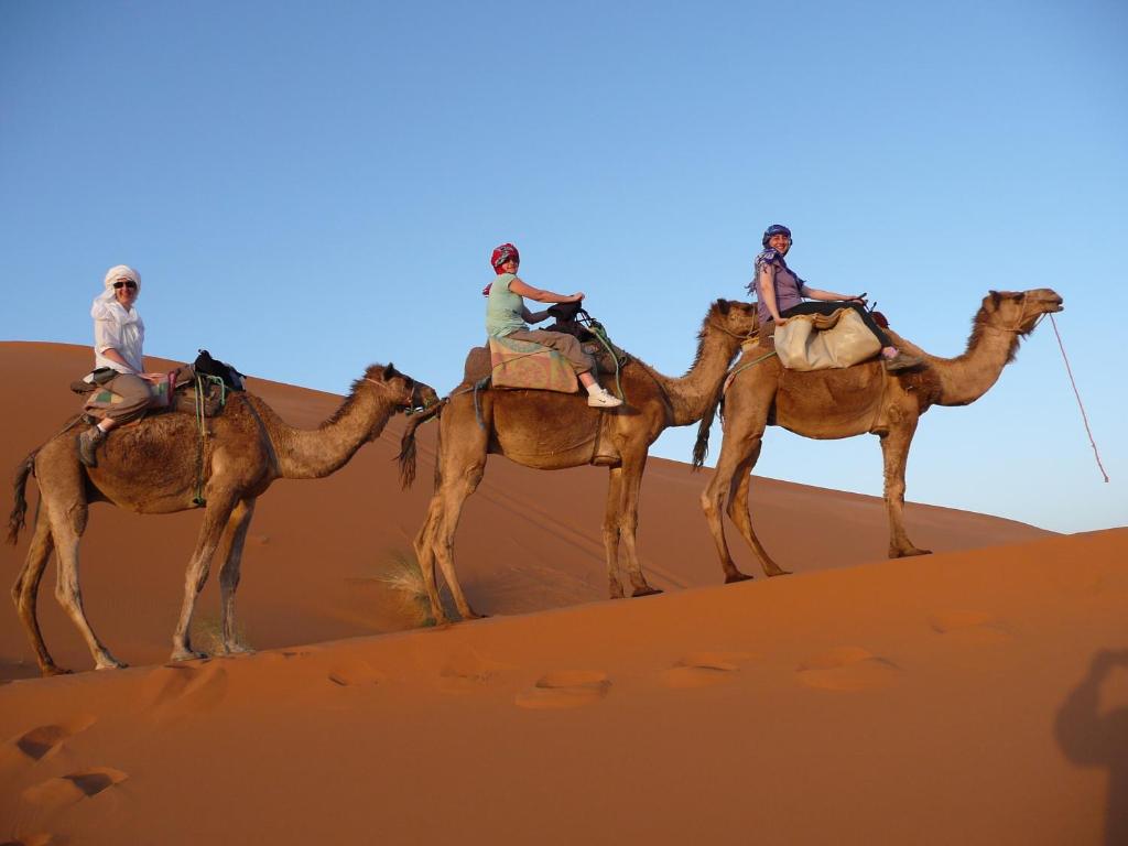 Riad Aicha Camel Trekking riad Region non trouvee Merzouga 8