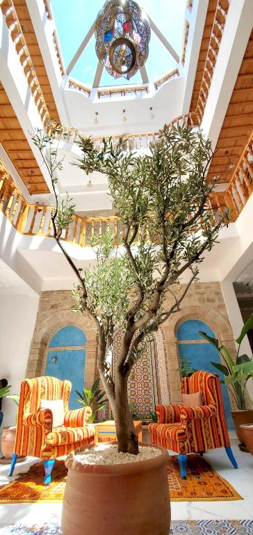 Riad Al Manara riad Marrakech Tensift Haouz Essaouira 10