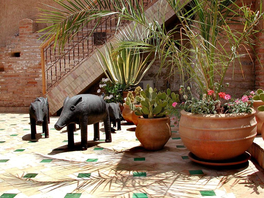 Riad Aladdin riad Marrakech Tensift Haouz Marrakech 17