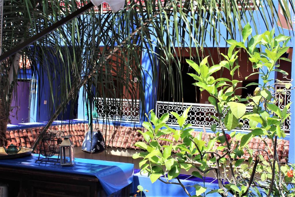 Riad Alamine riad Marrakech Tensift Haouz Marrakech 5