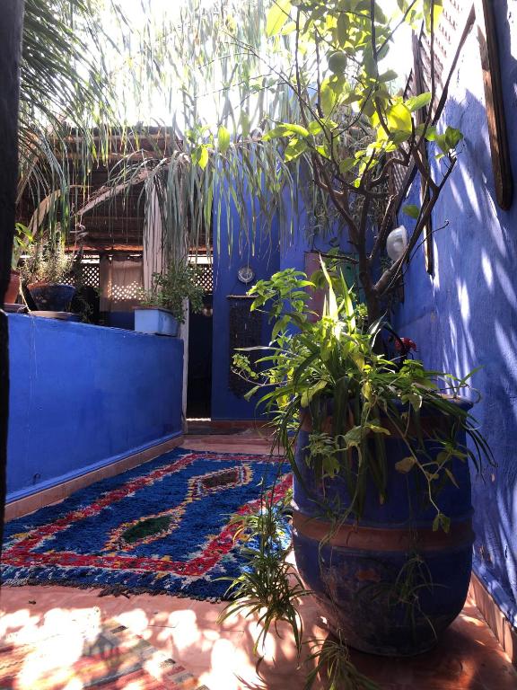 Riad Alamine riad Marrakech Tensift Haouz Marrakech 7