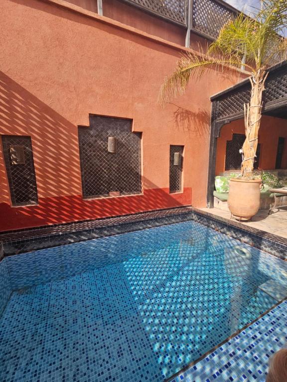 Riad Alegria riad Marrakech Tensift Haouz Marrakech