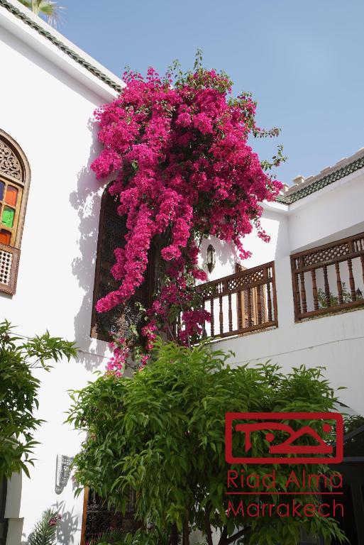 Riad Alma riad Marrakech Tensift Haouz Marrakech 4