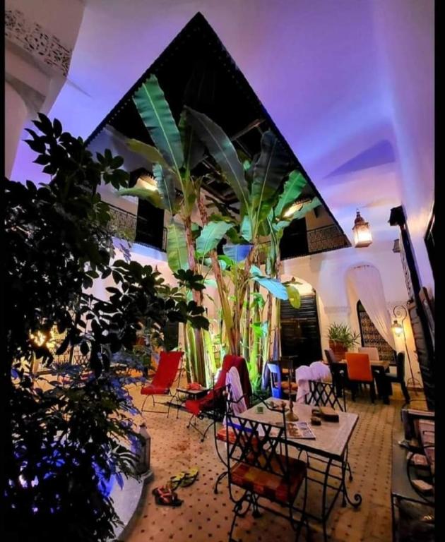 Riad Aloes Spa riad Marrakech Tensift Haouz Marrakech 13