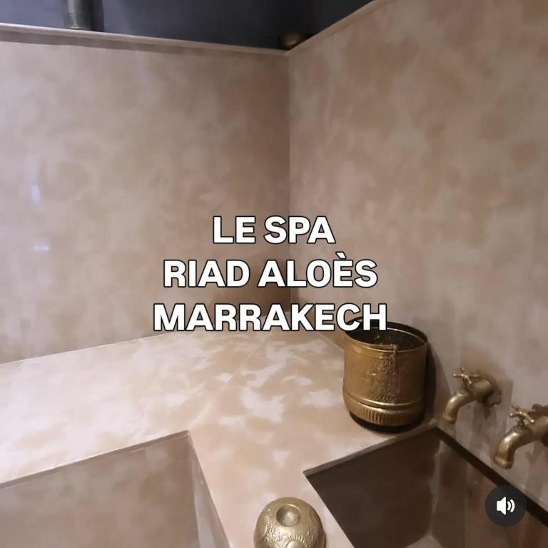 Riad Aloes Spa riad Marrakech Tensift Haouz Marrakech 17