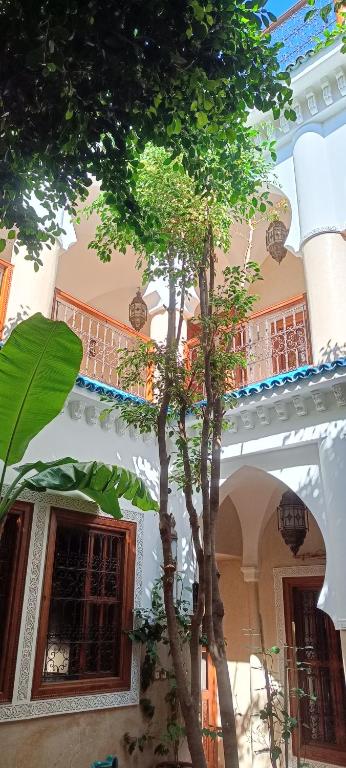 Riad Asrari riad Marrakech Tensift Haouz Marrakech 12