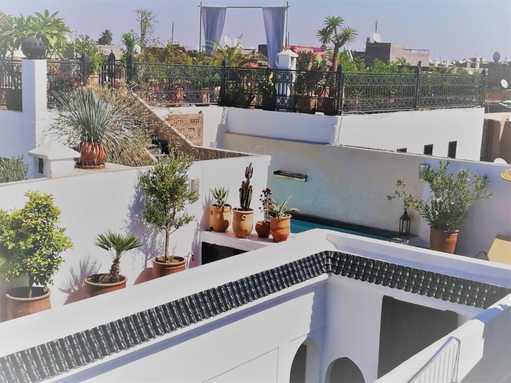 Riad Bab aylen Piscine Roof Top chauffee riad Marrakech Tensift Haouz Marrakech 10