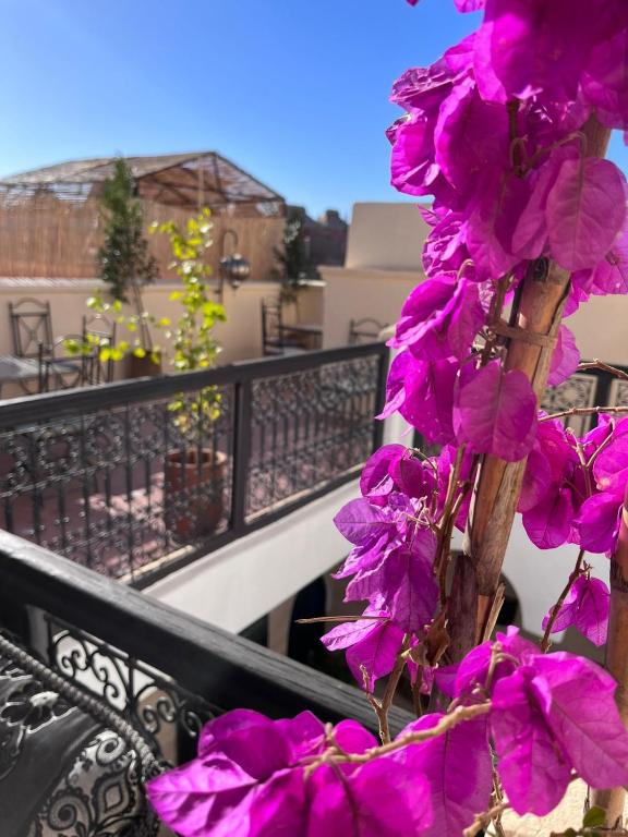 Riad Black Doors riad Marrakech Tensift Haouz Marrakech 10