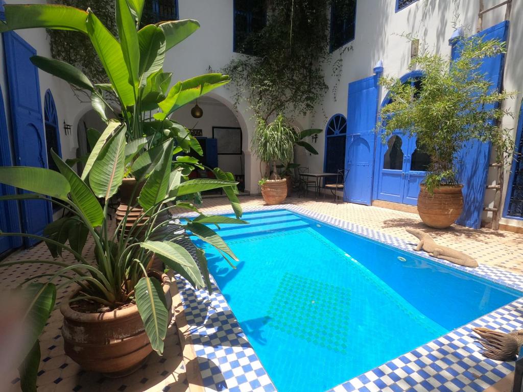 Riad Chameleon riad Marrakech Tensift Haouz Marrakech 10