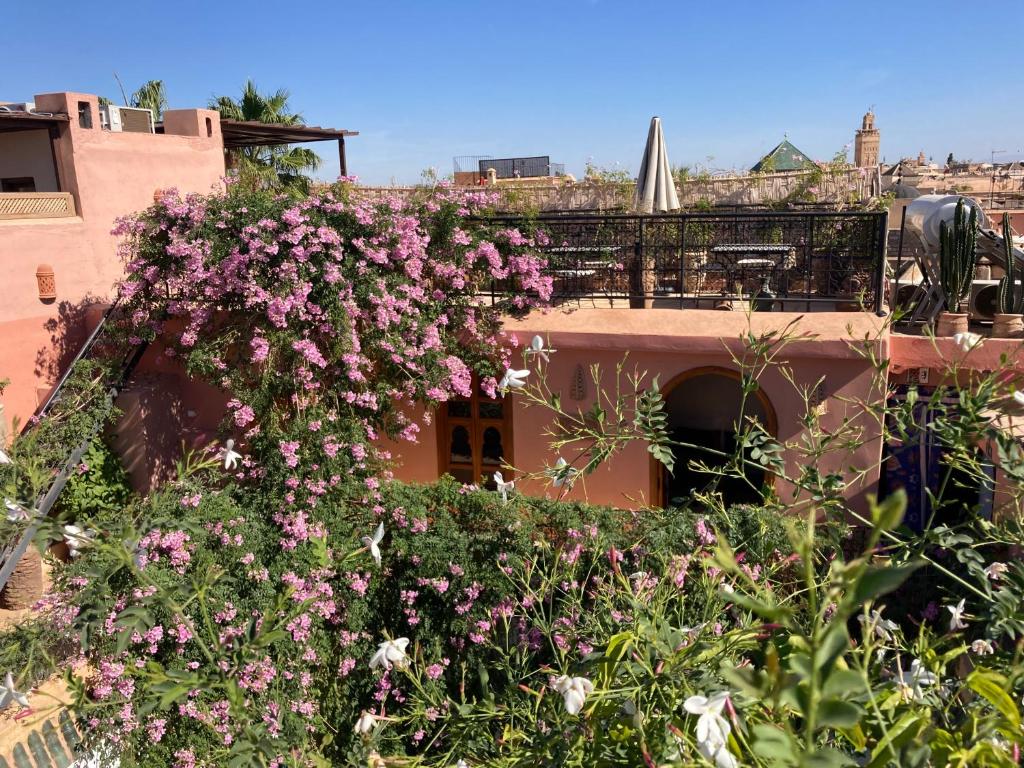 Riad Chameleon riad Marrakech Tensift Haouz Marrakech 6