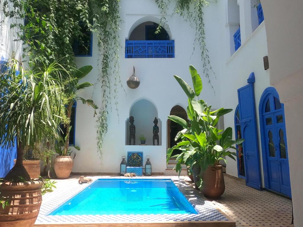 Riad Chameleon riad Marrakech Tensift Haouz Marrakech