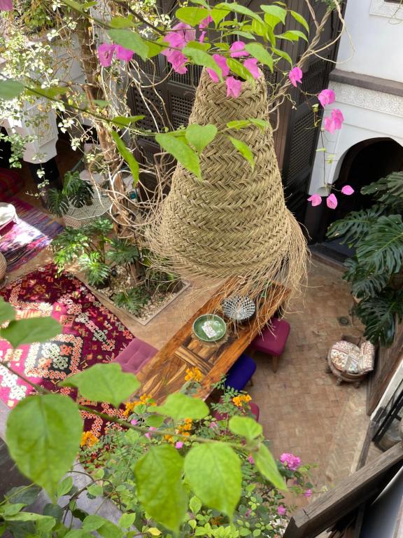 Riad Chocolat riad Marrakech Tensift Haouz Marrakech 10