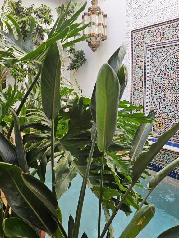 Riad Clefs dOrient riad Marrakech Tensift Haouz Marrakech 2