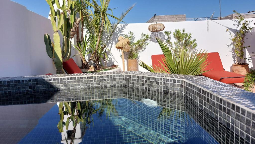 Riad Cosy riad Marrakech Tensift Haouz Marrakech