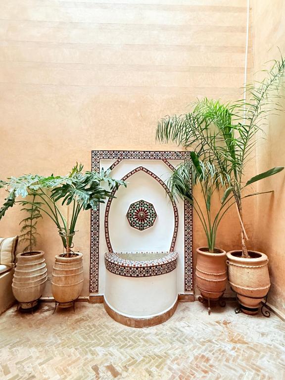 Riad Dama Spa riad Marrakech Tensift Haouz Marrakech 12