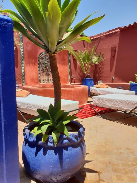 Riad Dar Colline riad Marrakech Tensift Haouz Marrakech 12