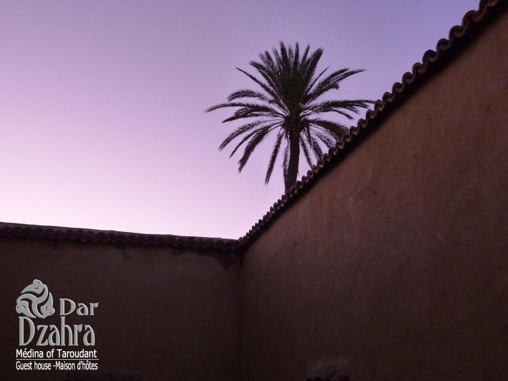 Riad Dar Dzahra riad Souss Massa Draa Taroudant 14