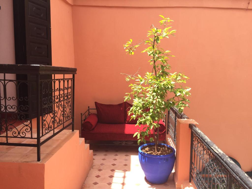 Riad Dar Lilas riad Marrakech Tensift Haouz Marrakech 13