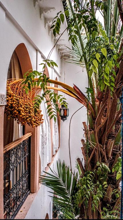 Riad Dar Mamouni riad Marrakech Tensift Haouz Marrakech 3