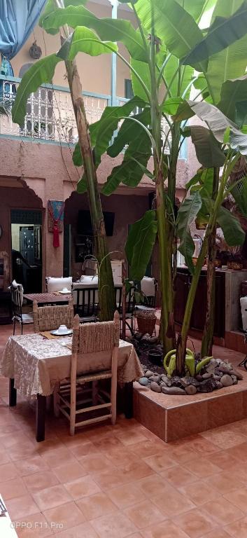 Riad Dar Mchicha riad Marrakech Tensift Haouz Marrakech 18