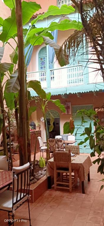 Riad Dar Mchicha riad Marrakech Tensift Haouz Marrakech