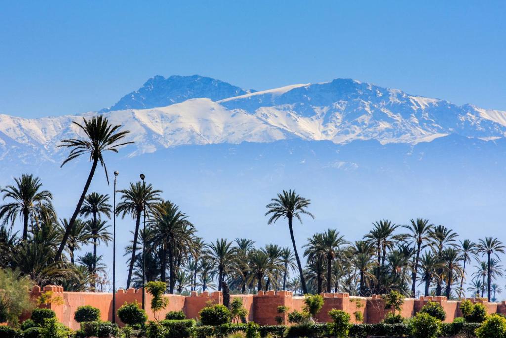 Riad Dar More riad Marrakech Tensift Haouz Marrakech 6