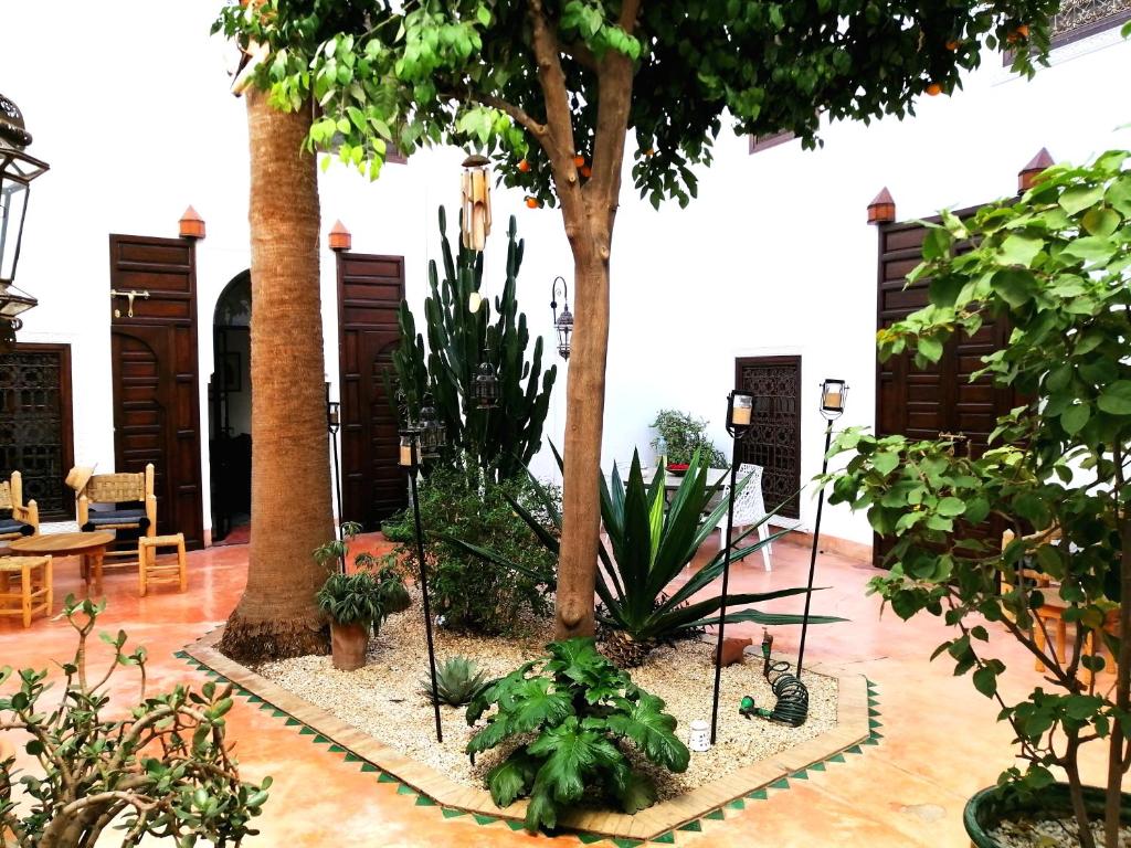 Riad Dar Nouba riad Marrakech Tensift Haouz Marrakech 6