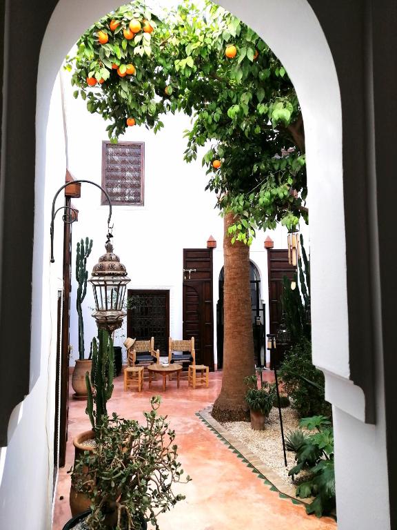 Riad Dar Nouba riad Marrakech Tensift Haouz Marrakech