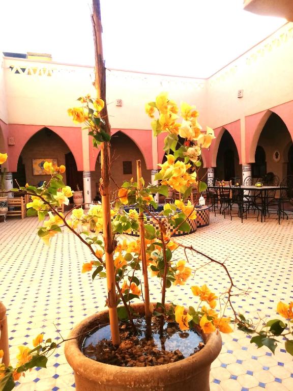 Riad Dar Poublanc riad Region non trouvee Merzouga 19