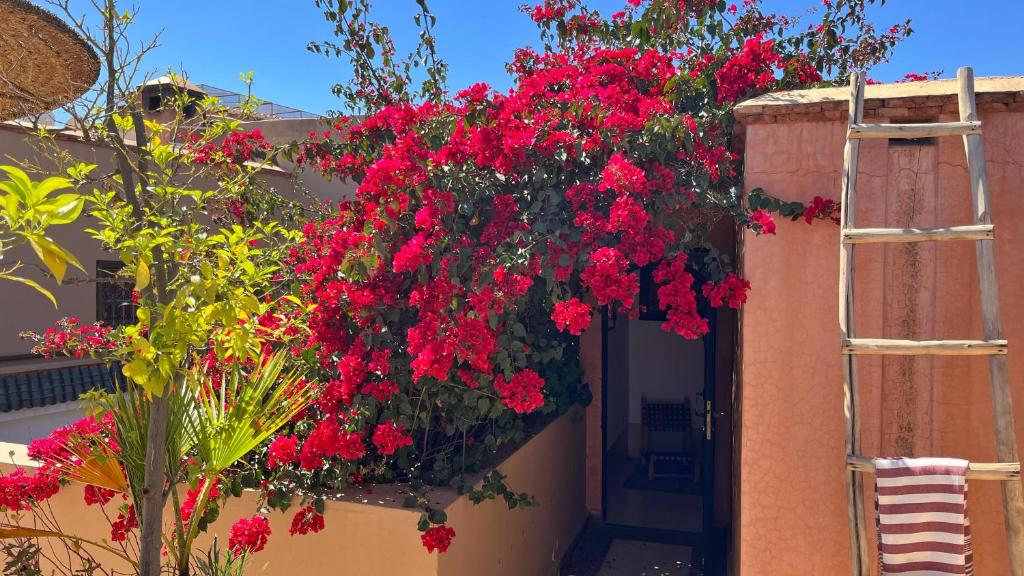 Riad Dar Zaman riad Marrakech Tensift Haouz Marrakech 11