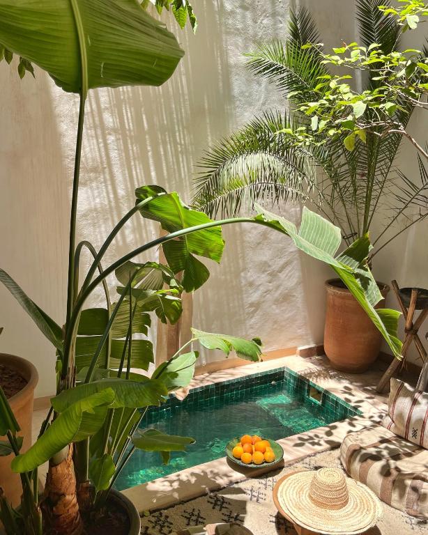 Riad Dar Zaman riad Marrakech Tensift Haouz Marrakech 13