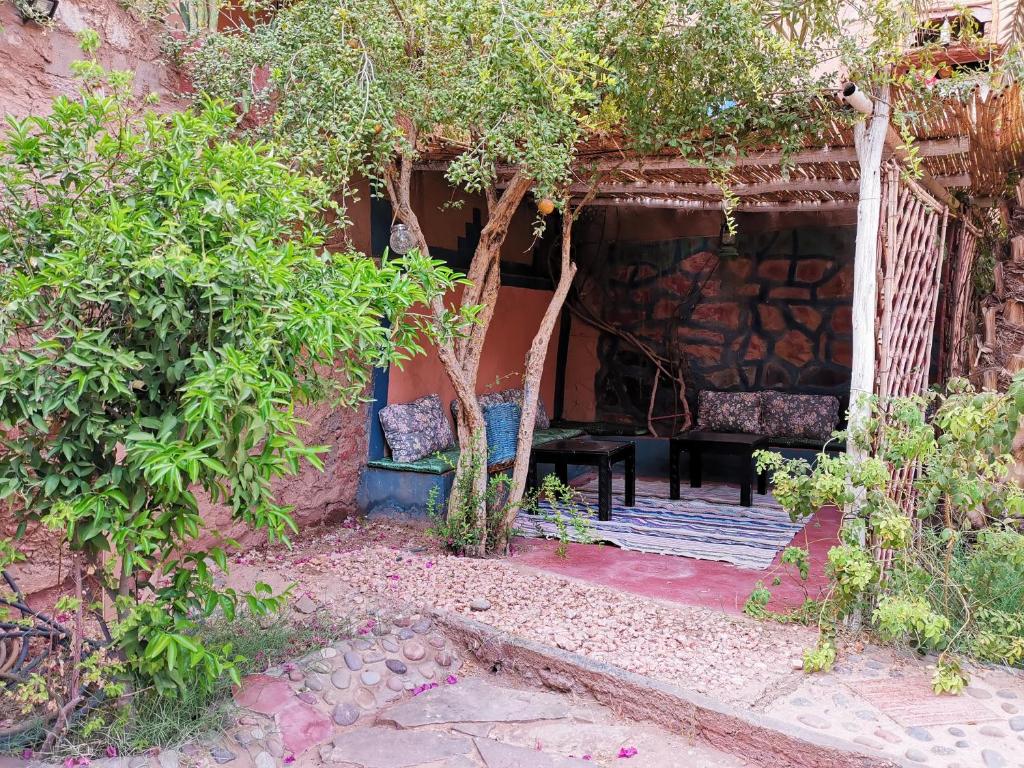 Riad Dar Zaouia riad Region non trouvee Zagora 17