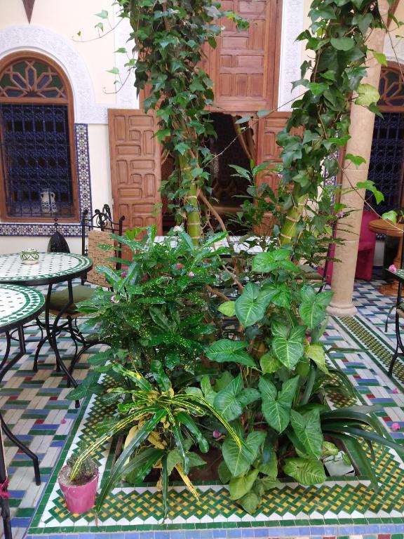 Riad Dar Zouhour riad Rabat Sale Zemmour Zaer Rabat 7