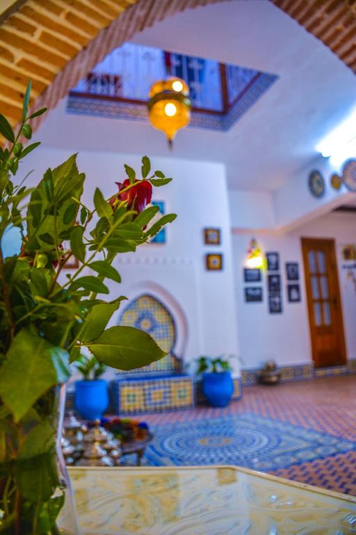 Riad Dari riad Tanger Tetouan Tetouan 19