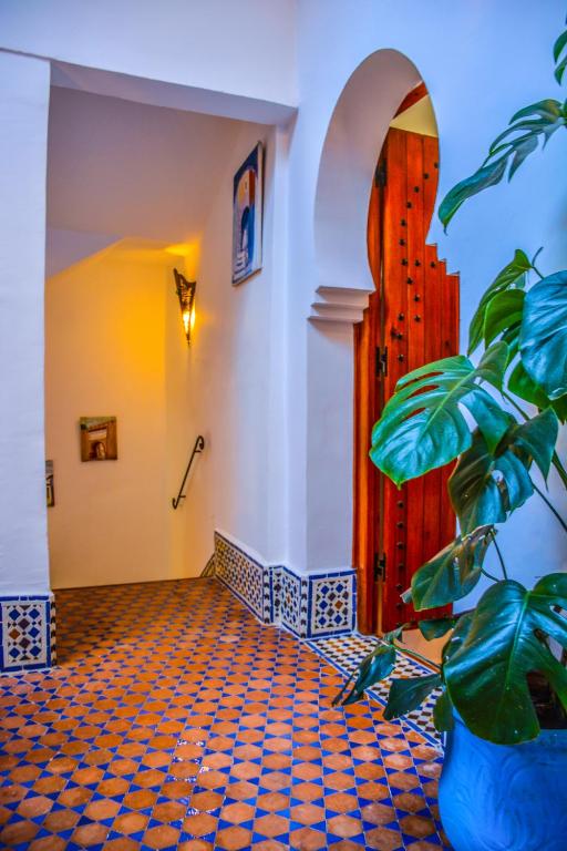 Riad Dari riad Tanger Tetouan Tetouan