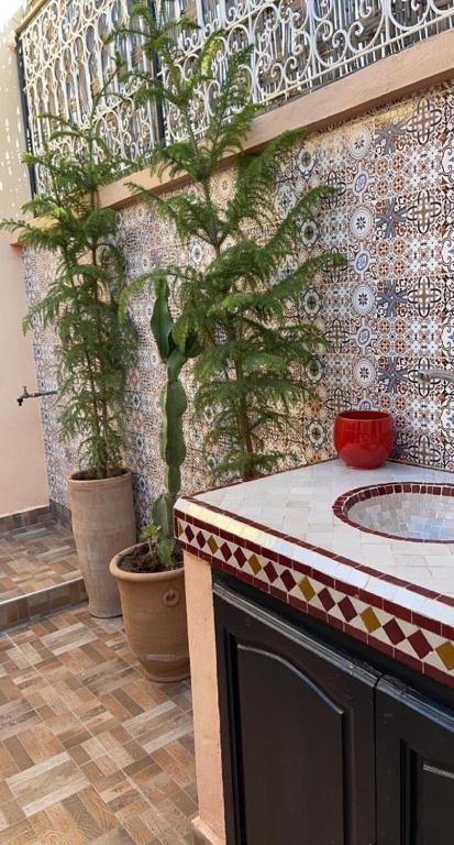 Riad Darnooz riad Marrakech Tensift Haouz Marrakech 2