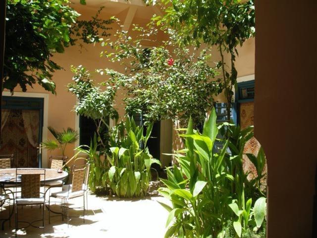 Riad El Filali riad Marrakech Tensift Haouz Marrakech 6