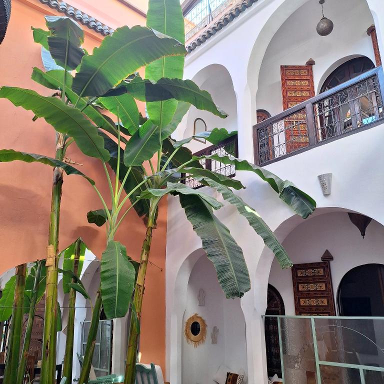 Riad El Grably riad Marrakech Tensift Haouz Marrakech 18